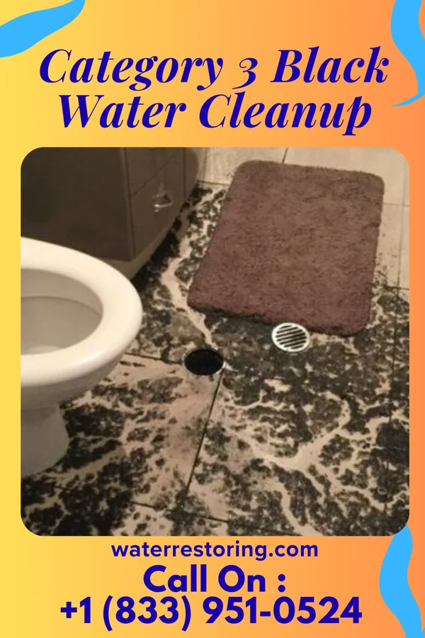 Category 3 Black Water Cleanup in Roseville, MI