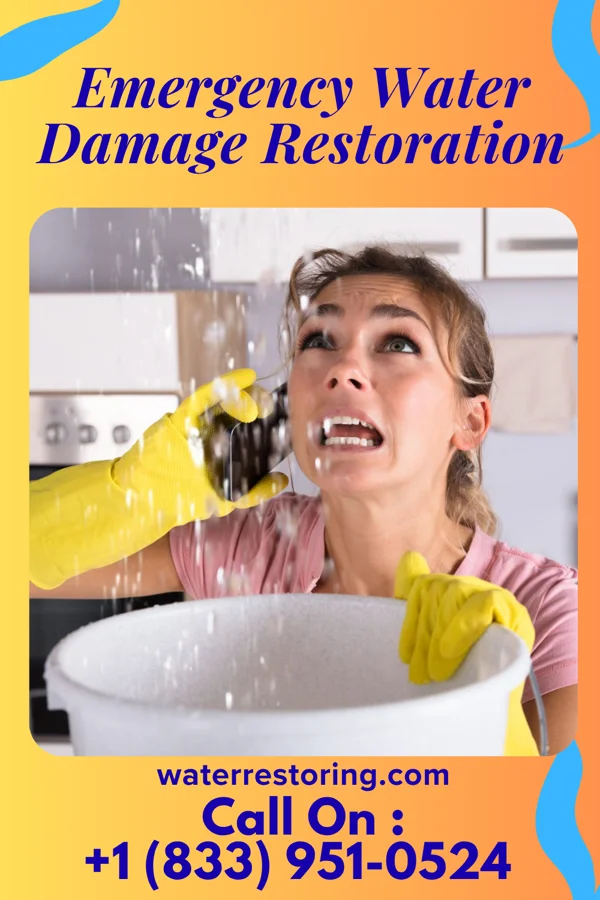 Emergency Water Damage Restoration in Roseville, MI