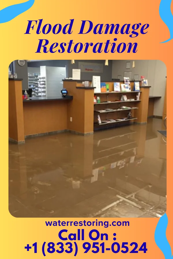 Flood Damage Restoration in Roseville, MI